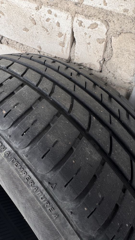 АвтоШини r15 Petlas