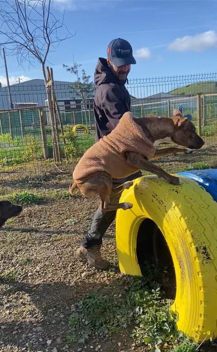 Lorran Dog trainer