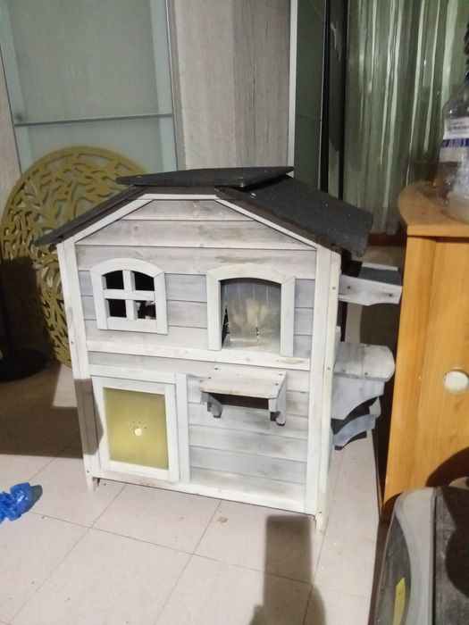 Casa  para gatos