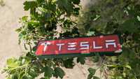 Tesla logi логотип