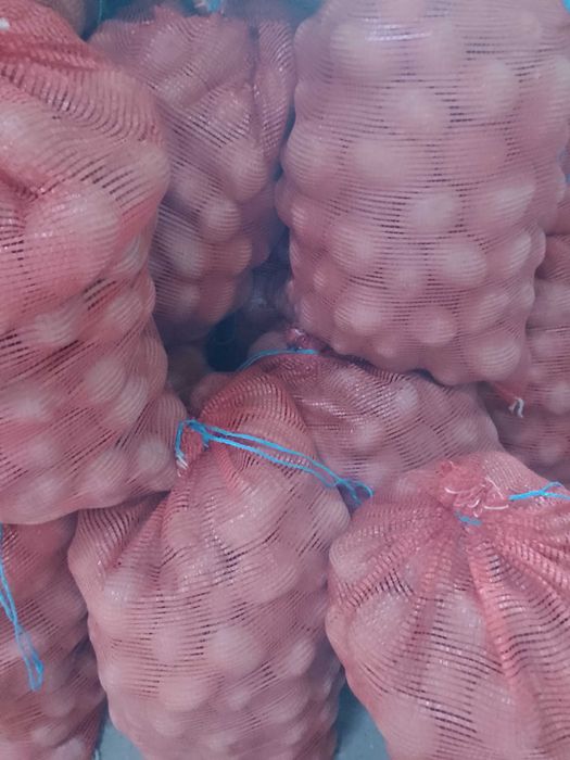 Sprzedam ziemniaki jadalne Vineta