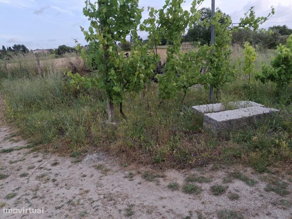 Vende-se Quinta na ratoeira