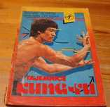 Książka " Tajemnice Kung - Fu"
