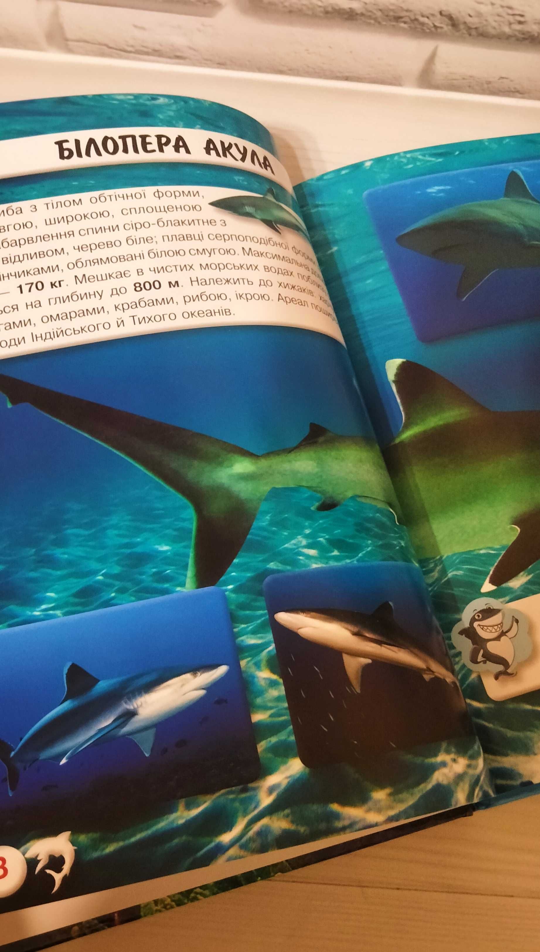 Яркая книга для детей про акул (фотоэнциклопедия) в твердом переплёте