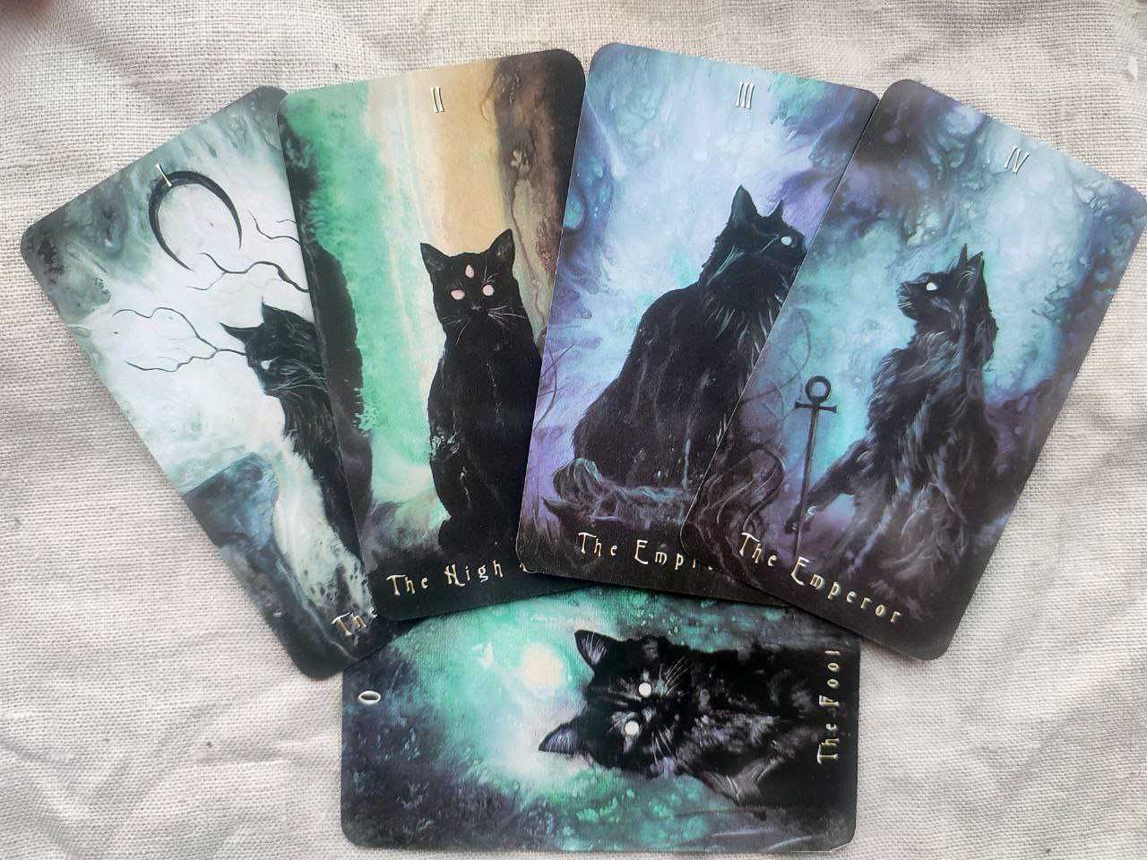 Гадальні карти таро примарного кота haunted cat tarot таро з котиками