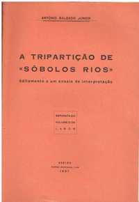 11127

A tripulação de Sóbolos Rios :
de António Salgado Júnior.