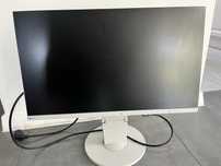 monitor eizo ev2450