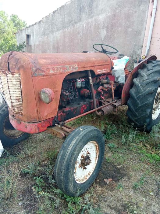 Trator David Brown 990 Implematic
