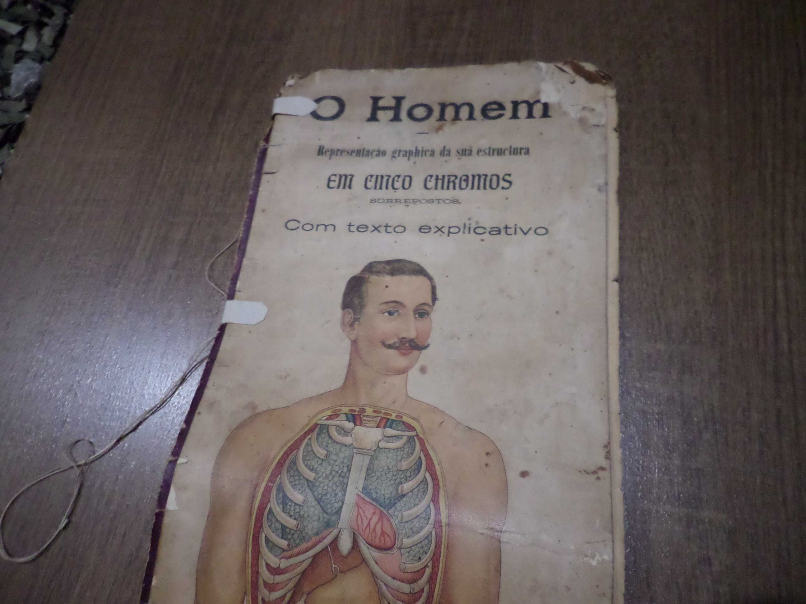 Livro antigo Anatomia