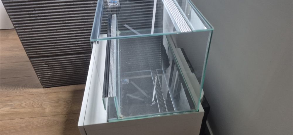 Sprzedam dwa kraby wampiry+terarium+jedzenie