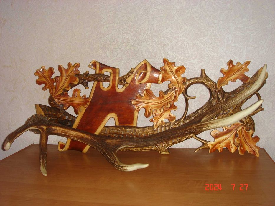 Рога оленя благородного.