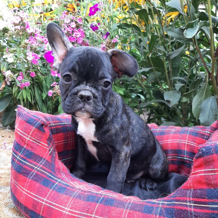 Мальчик и девочка