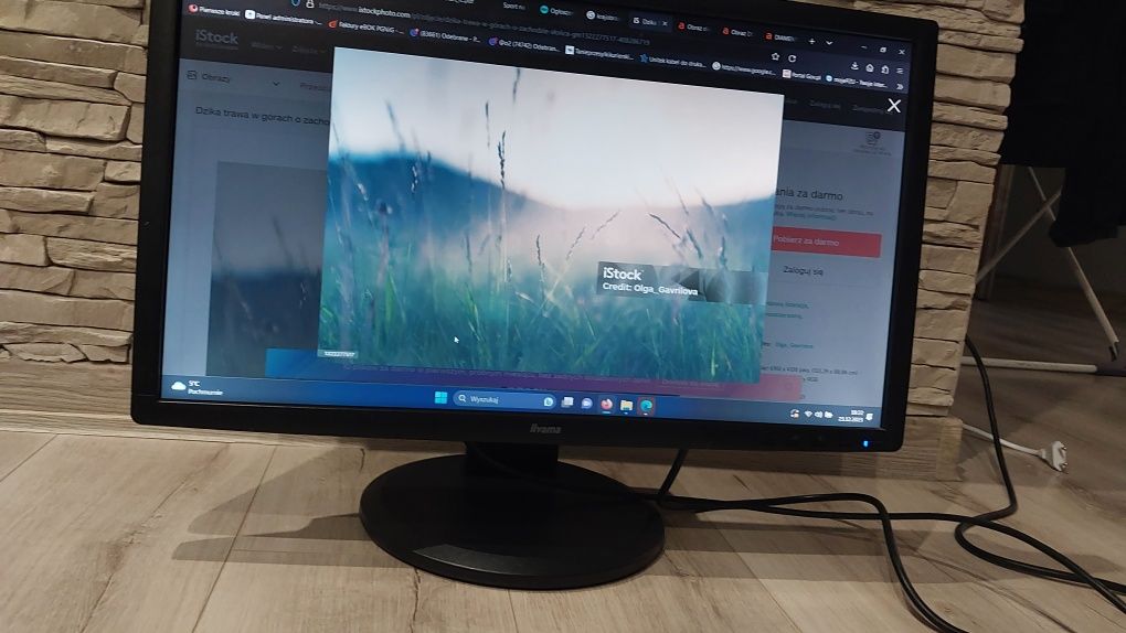 Monitor iiyama prolite B2409HDS, 24" hdmi z głośnikami