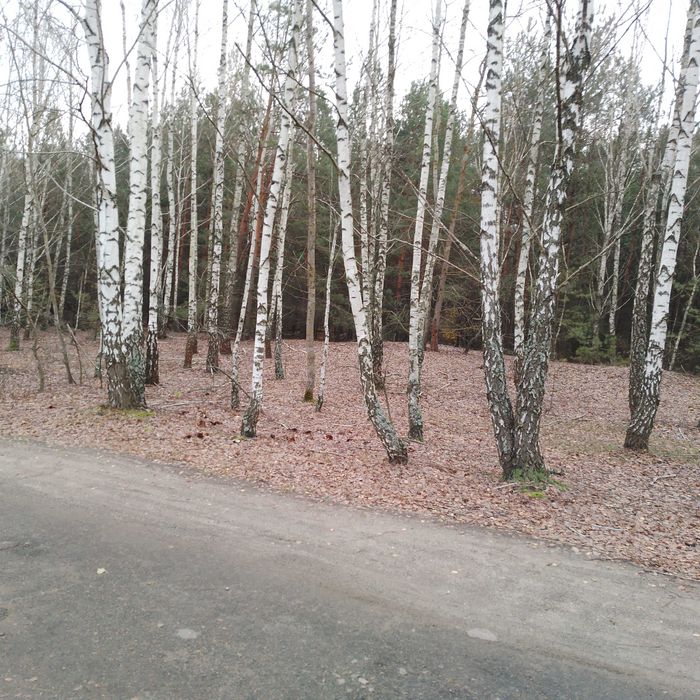 SM-A035F/DS RED / 32GB