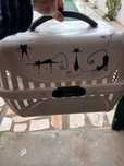 Transportadora de animais