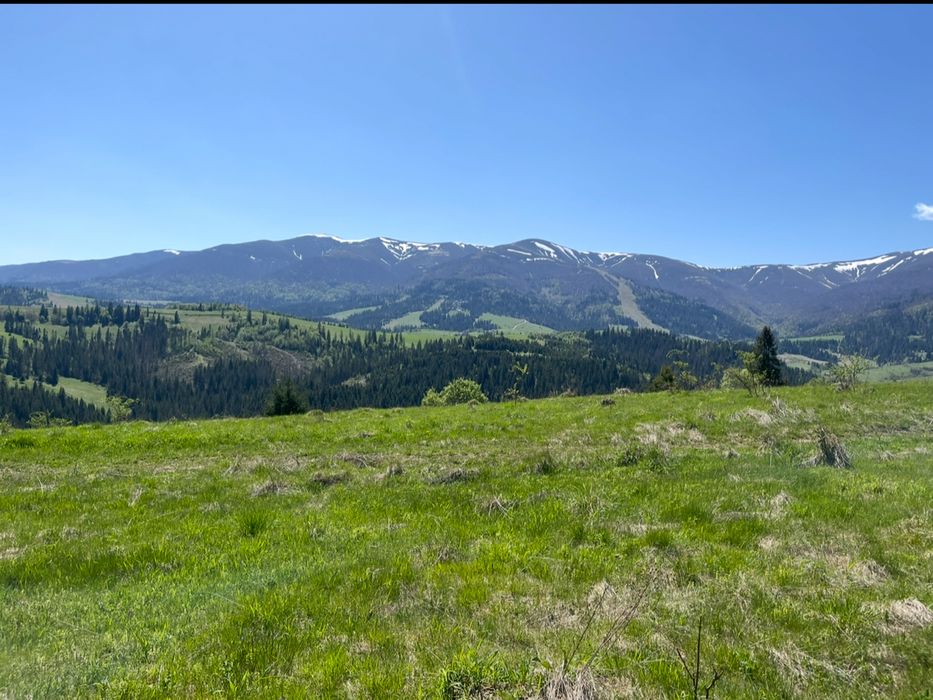 Земельна ділянка