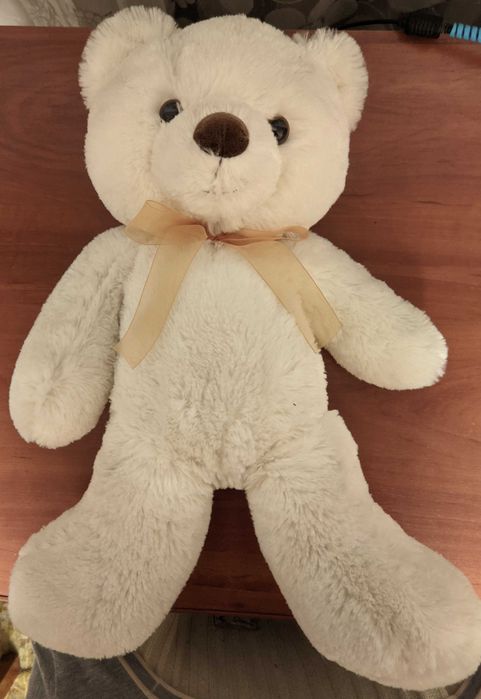 Милий плюшевий ведемедик шукає новий дім