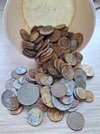 600 gram monet polskich
