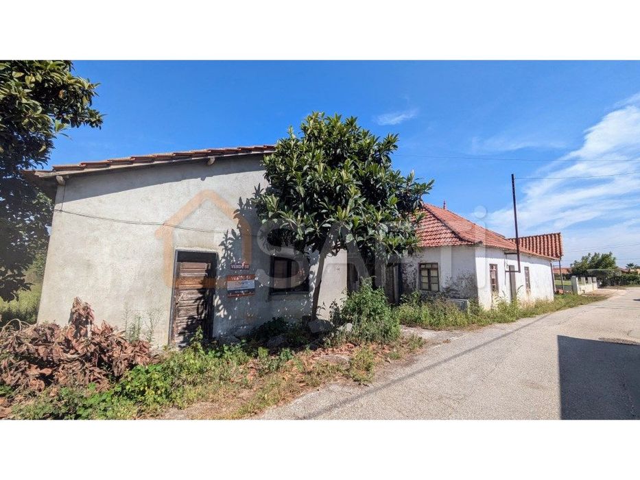 Terreno para construção em Pombal