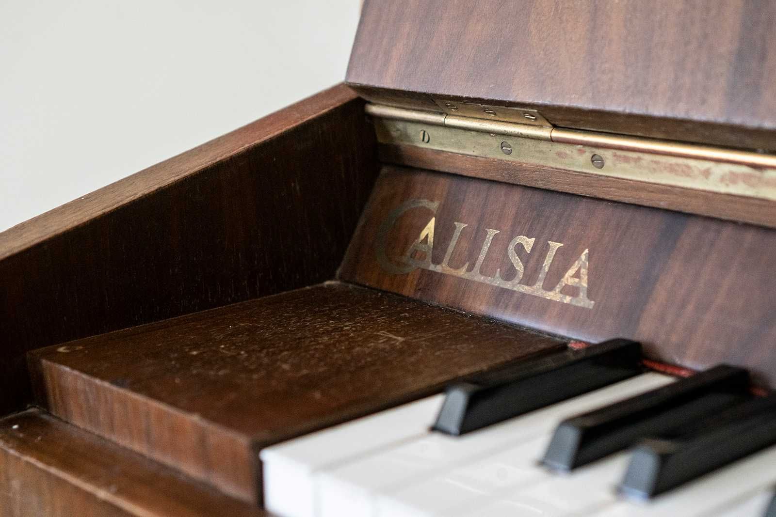 Pianino marki Calisia od RCAK