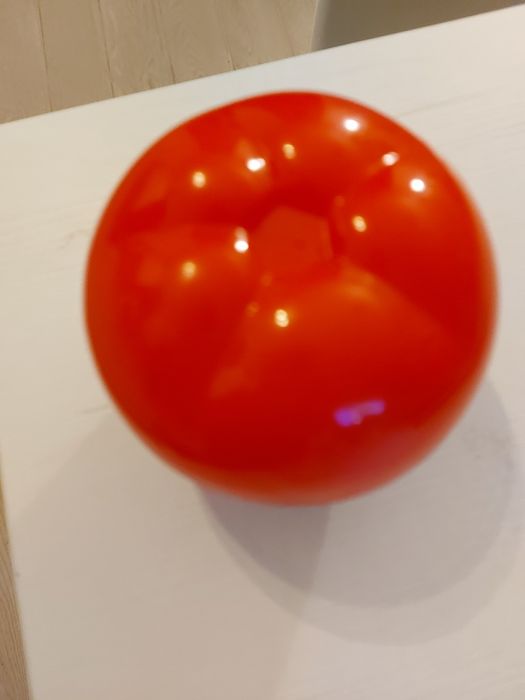 Pojemnik do przechowywania pomidorów