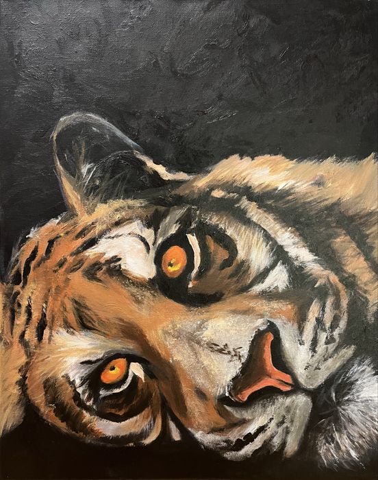 Obraz „tygrys” akryl na płótnie 40x50cm