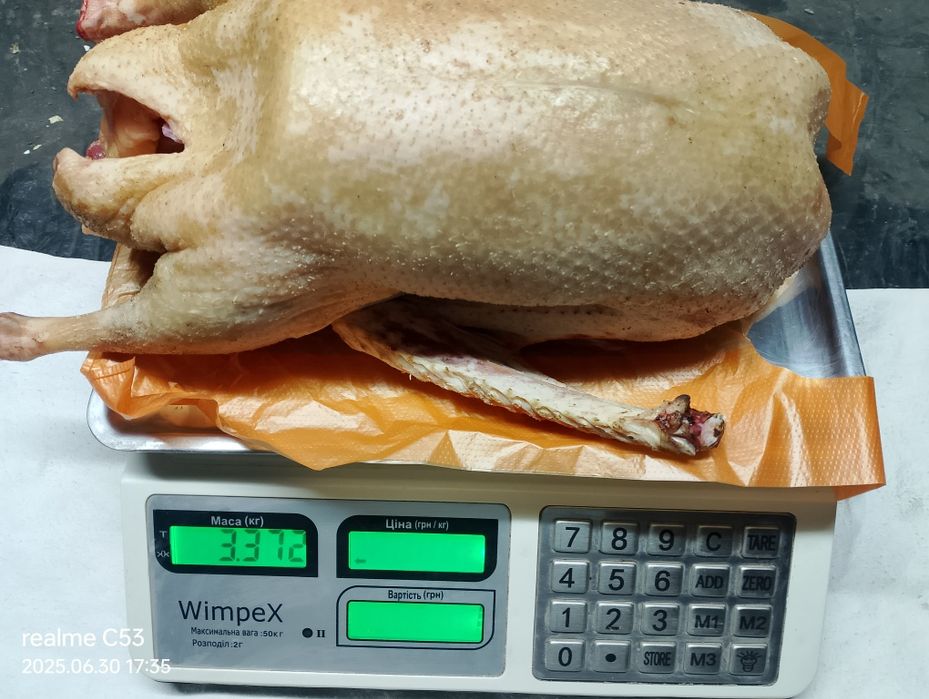 Гуси домашние/мясо Гуся/мясо утки