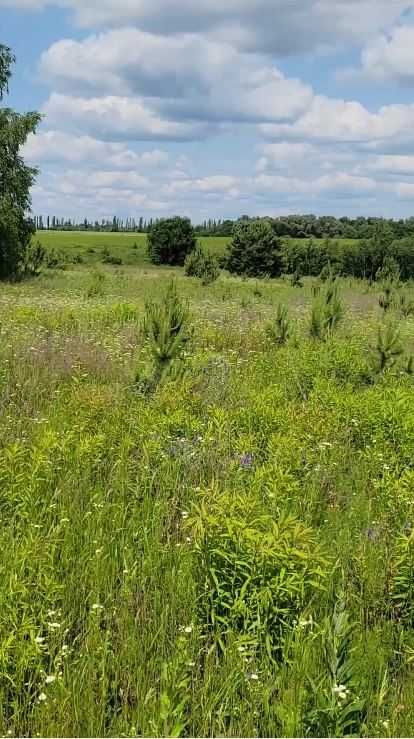 Ділянка для вашого будинку в Білогородці в затишному місці
