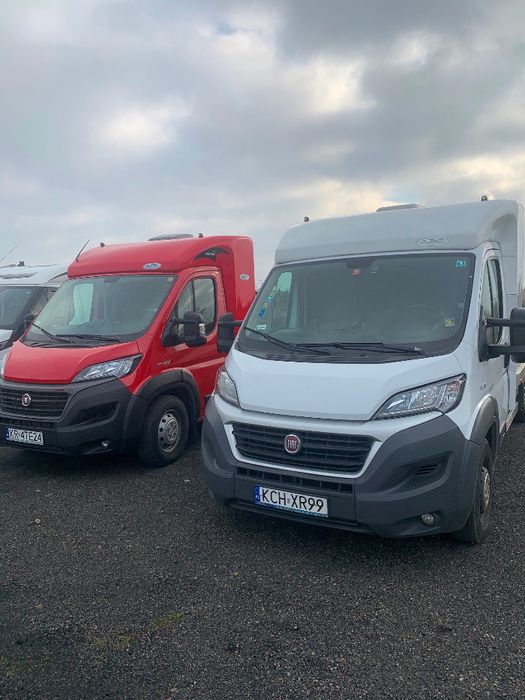 Wynajem Autolawety Lawety Fiat Ducato 2020r Duża Sypialnia