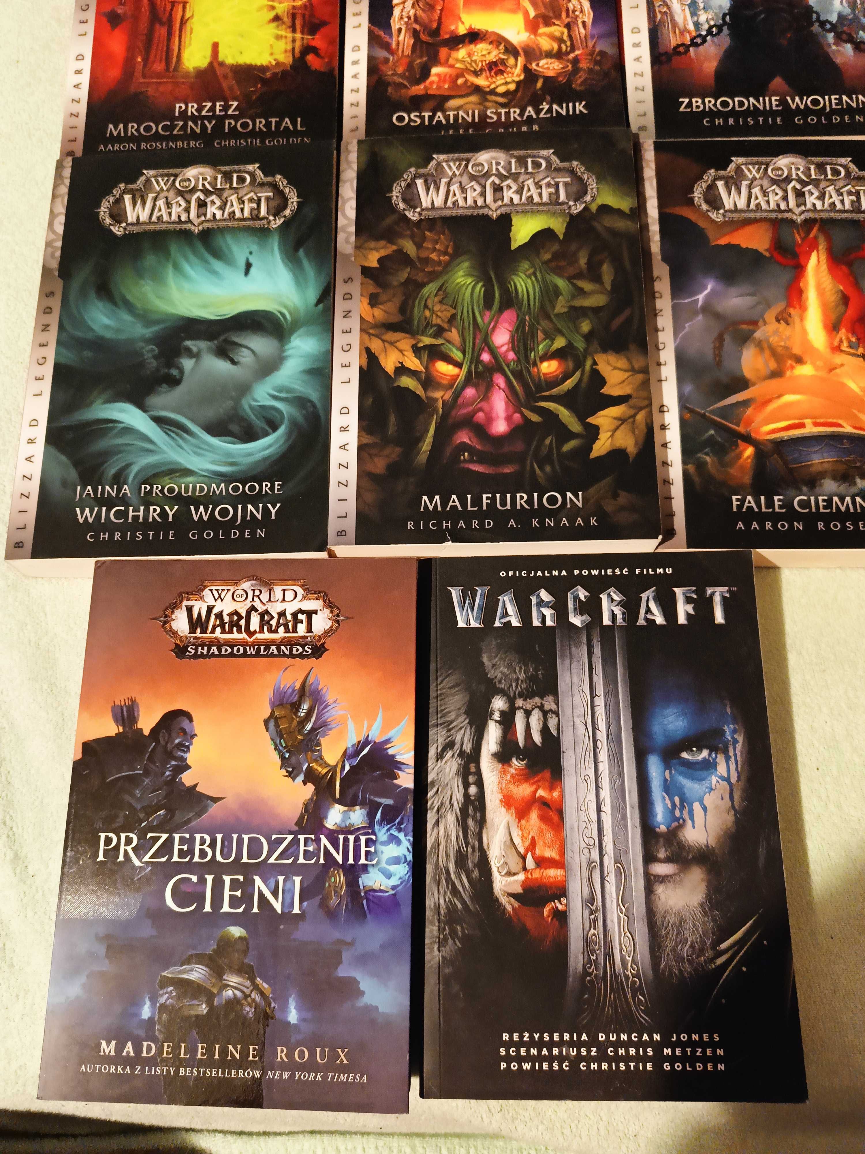 World of Warcraft   8 książek