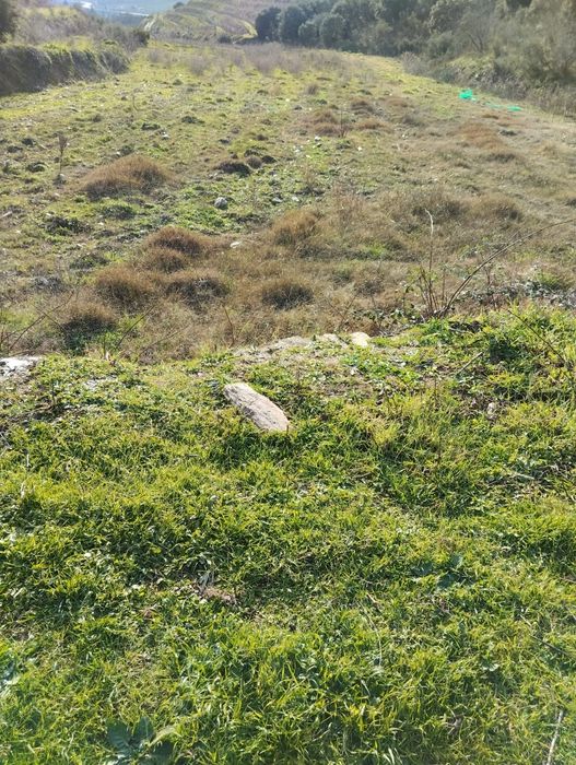 Vendo terreno com plantação de vinhas e amendoal - Muxagata
