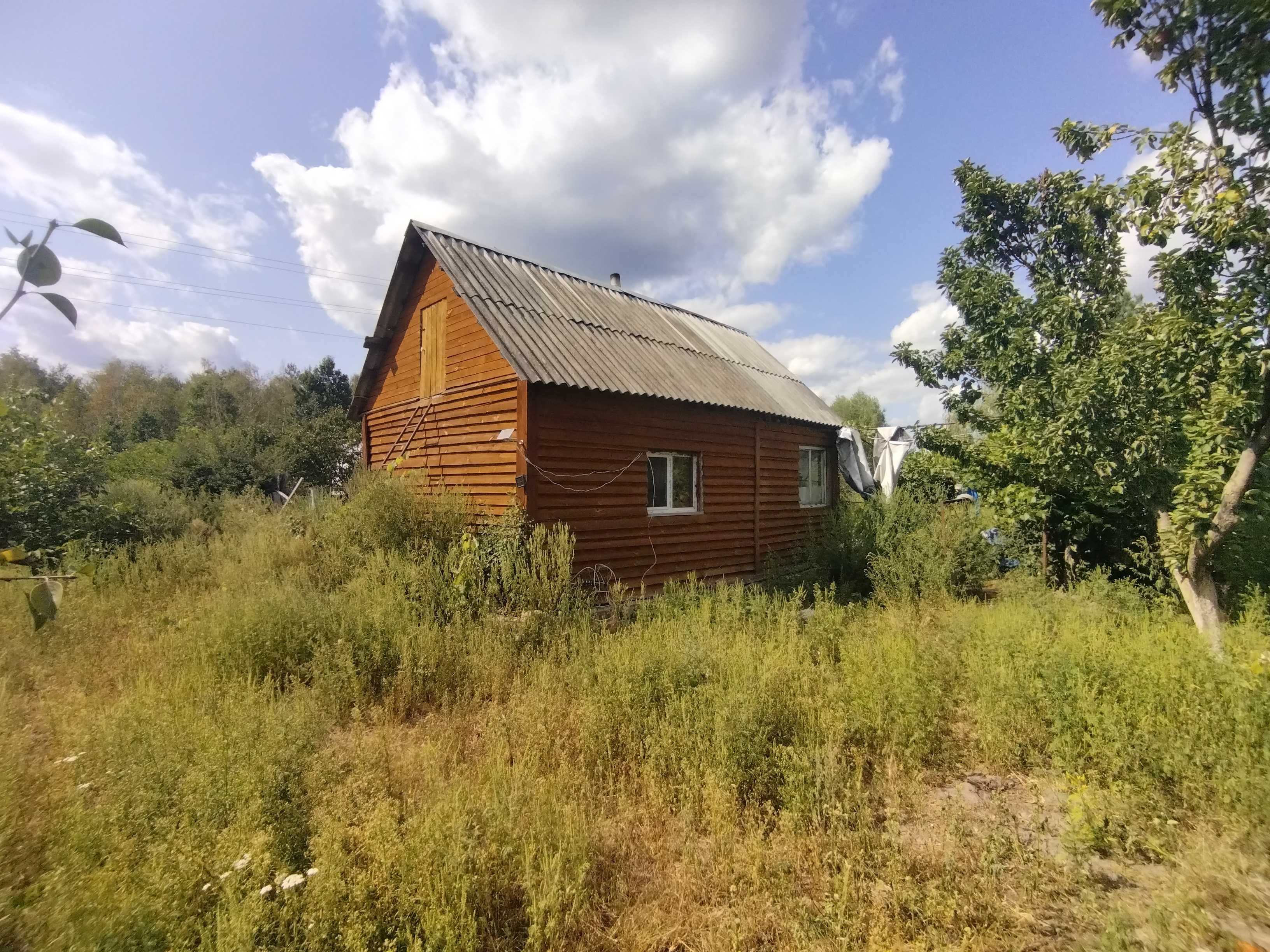 Бородянський район, с. Красний Ріг,  садове товариство «Тайга»