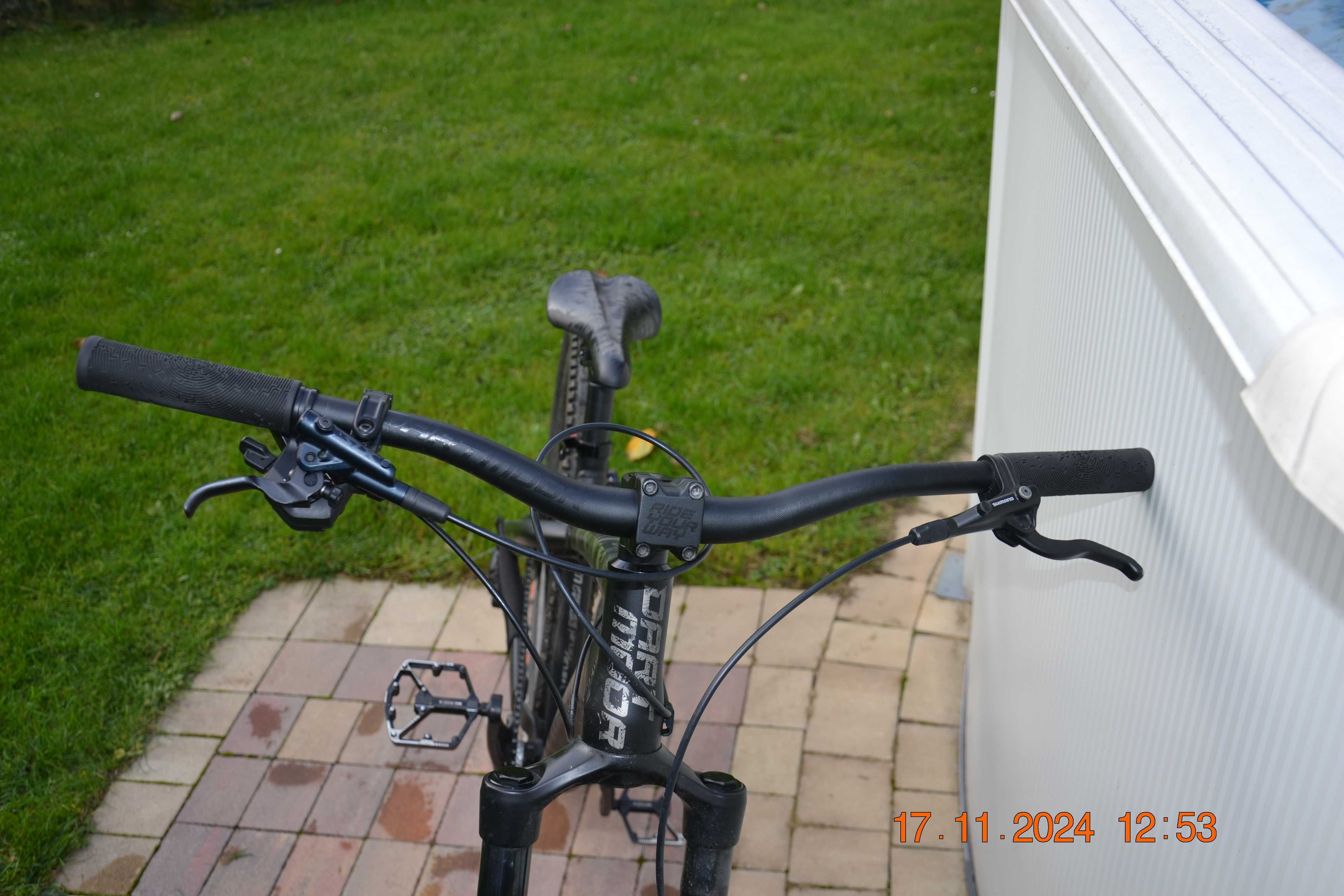dartmoor hornet 2022 M