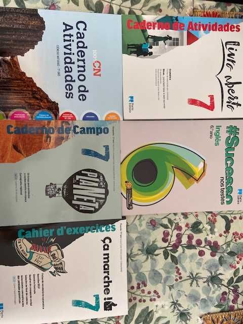 Cadernos de exercícios 7º ano