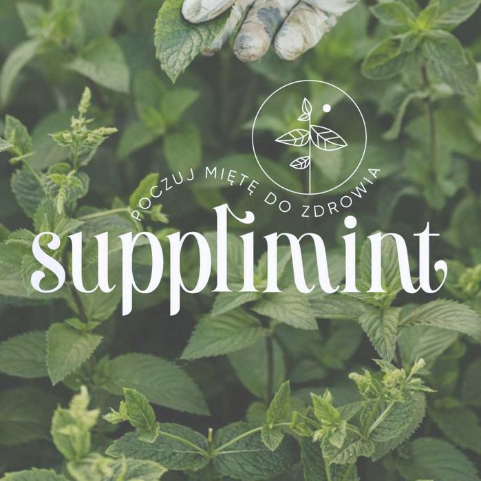 Koncentrat Białka Serwatki WPC 80 Czeko Pomarańcza 750 g – Supplimint