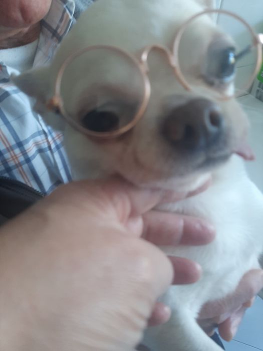Ola sou o ted e procuro  namorada