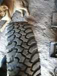 Продам болотну резину 235/70R16