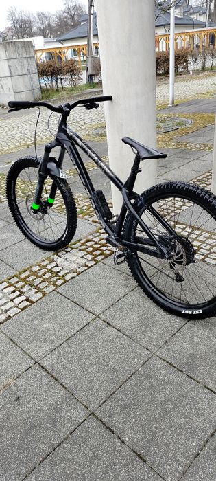 Dartmoor  hornet 2022 PILNEEE