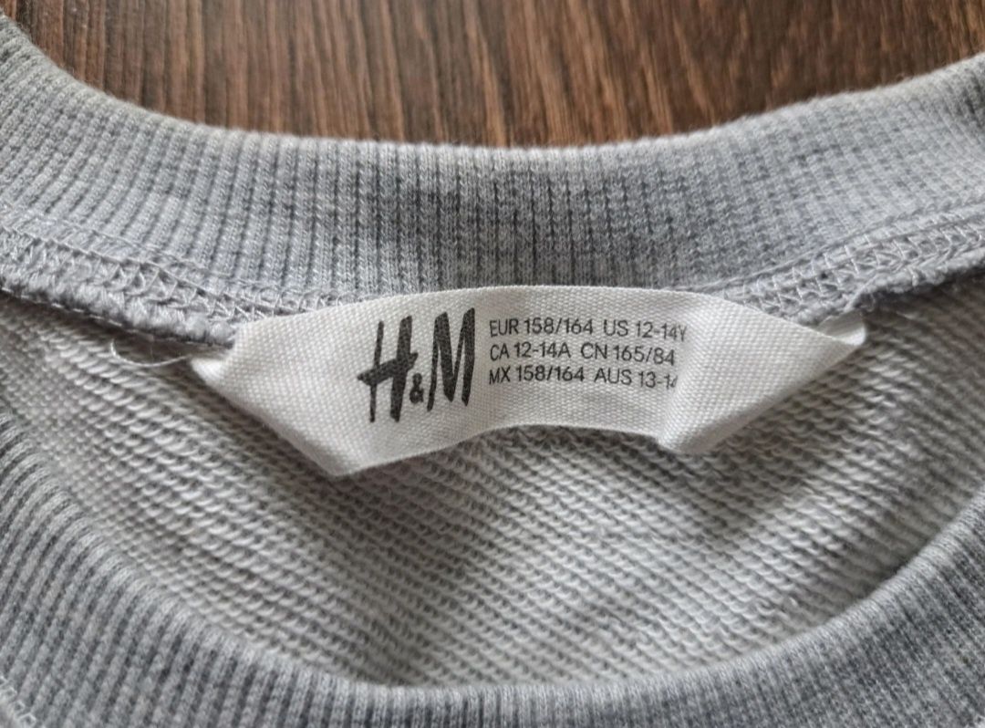 Bluza H&M szary 158/164