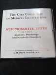 Slides anatomia sistema muscular