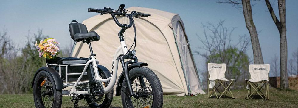 Rower Elektryczny CARGO Trójkołowy dla seniora - ACTIVE ZONE Ostrowiec