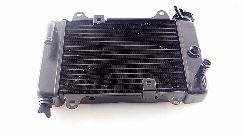 CHŁODNICA Cieczy wody do ATV Quad 200/250 Bashan z wentylator WYSYŁKA
