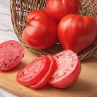 Sadzonki pomidorów [ostatnie sztuki]