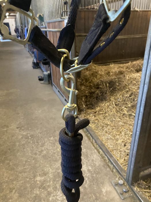 Kantar cavallo z uwiązem cob