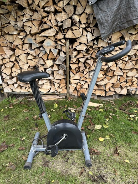 Rowerek treningowy stacjonarny fitness/cardio