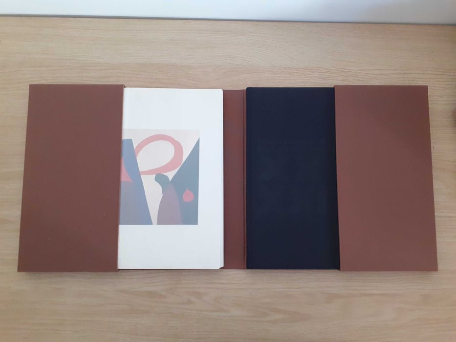 Livro com 20 reproduções - Nikias Skapinakis Pintura Séculos XX XXI