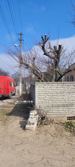 Покос трави ,спил деревьев, дробилка веток