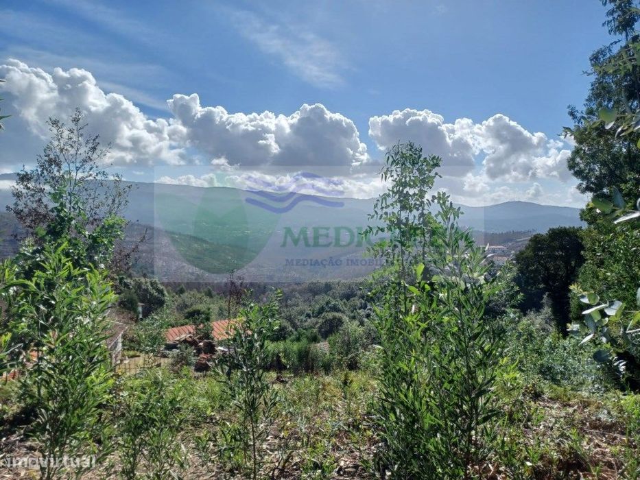 Terreno Urbanizável A Escassos Metros Do Centro De Sever Do Vouga