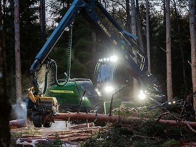 Kompleksowe usługi leśne - wycinka drzew