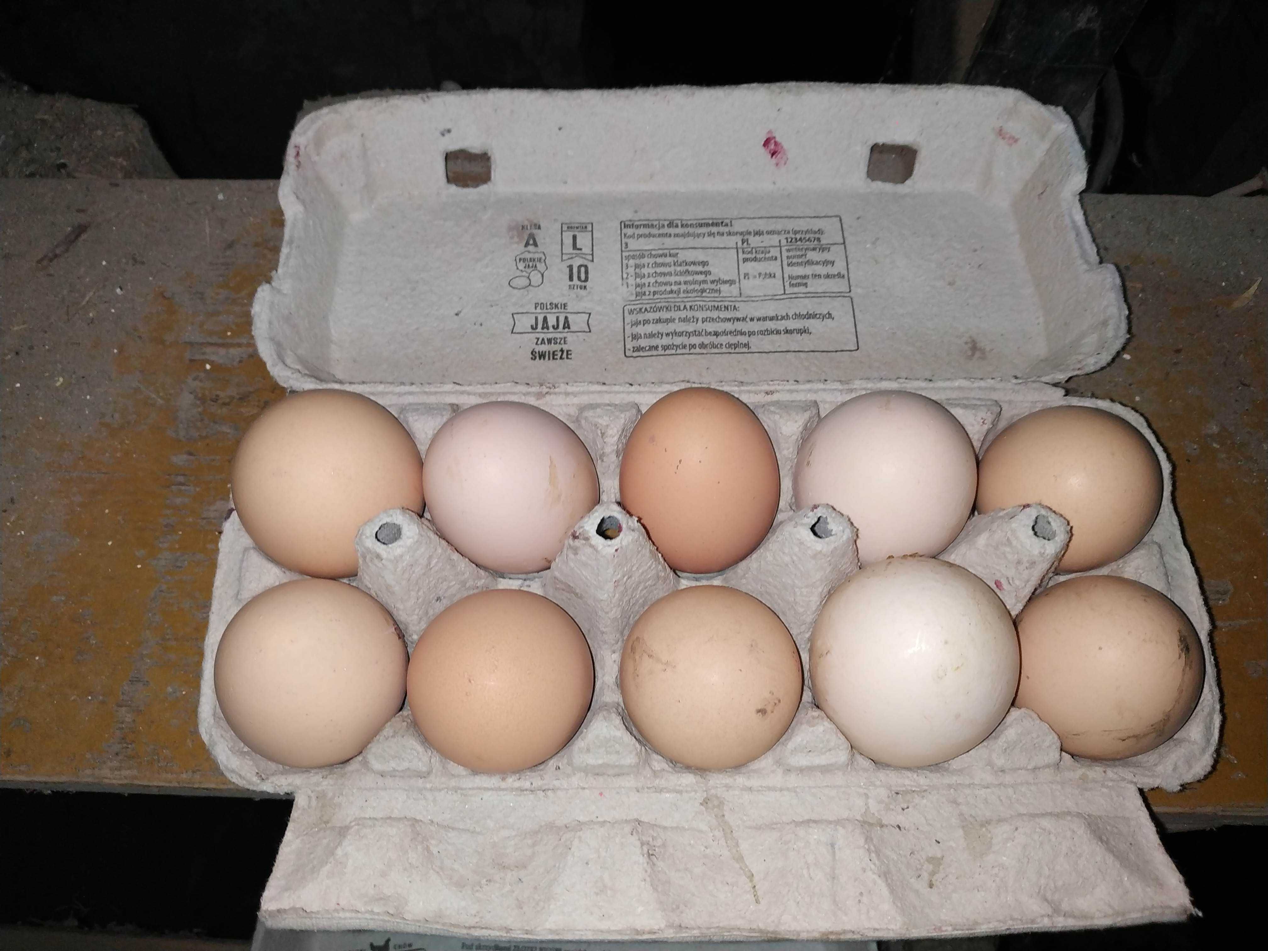 Jajka wiejskie od kur - chowane dla swoich potrzeb